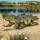 CubicFun 3D Puzzle Krokodil – 54 Teile aus Kraftpapier Bastelset