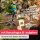 KidsVenture CARDS - Outdoor Suchspiel - 50 Karten 100 Suchaufträge ab 4 Jahren - Natur Schatzsuche & Waldspiel
