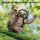 CubicFun 3D Puzzle Faultier 52 Teile aus Kraftpapier Bastelset