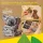 CubicFun 3D Puzzle Koala 60 Teile aus Kraftpapier  Bastelset