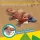 CubicFun 3D Puzzle Schnabeltier 68 Teile aus Kraftpapier Bastelset