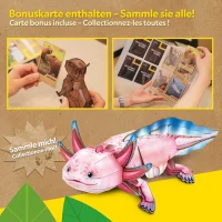 CubicFun 3D Puzzle Axolotl 50 Teile aus Kraftpapier...