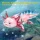 CubicFun 3D Puzzle Axolotl 50 Teile aus Kraftpapier Bastelset