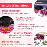 284 Wandtattoo Zierlauch Allium 750 x 420 mm